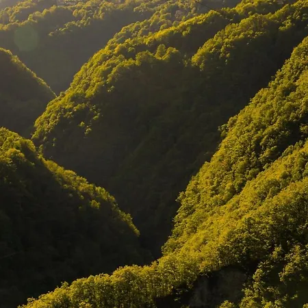 Apartamento Wild Valley Essenza In The Onsernone Valley
