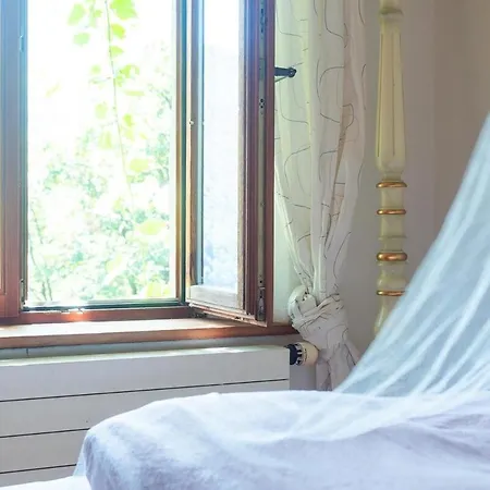 Apartamento Wild Valley Essenza In The Onsernone Valley Loco
